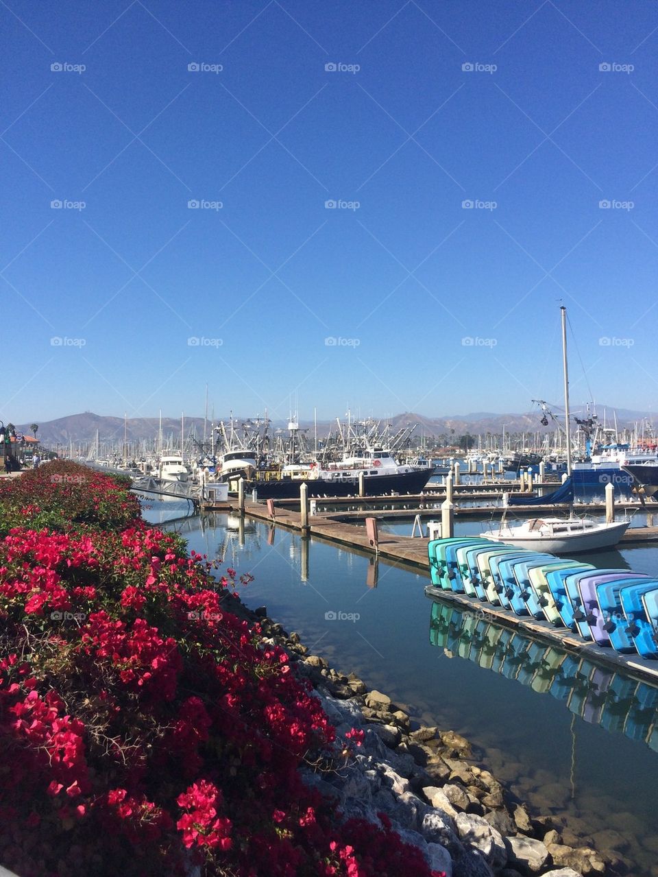 Ventura Harbor