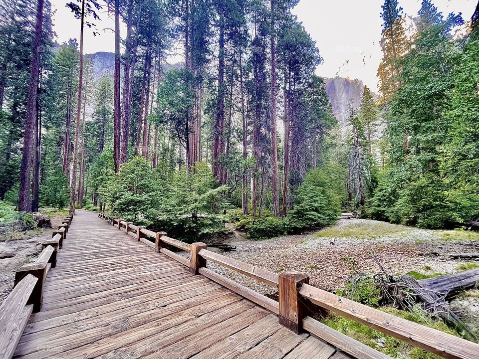 Wooden Bridge in Lower Yosemite Falls