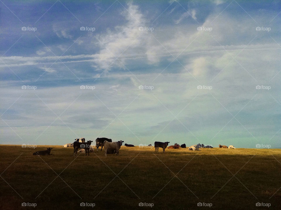 sky field summer clouds by chris7ben