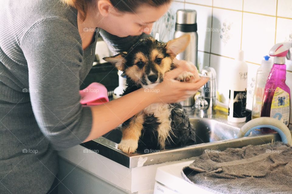 Indoors, Woman, People, Pet, Adult