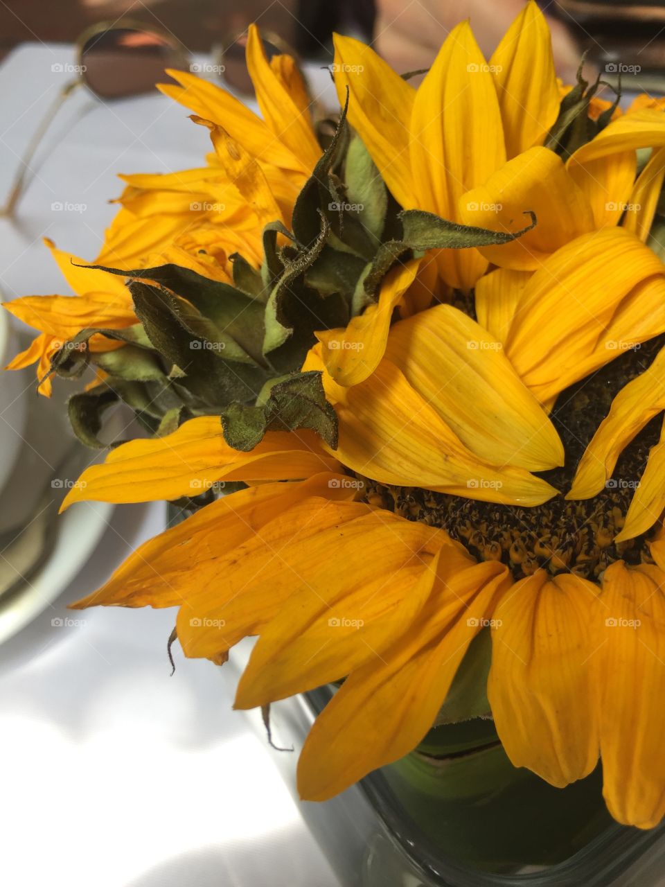 Sunflowers on a cafe tabletop 