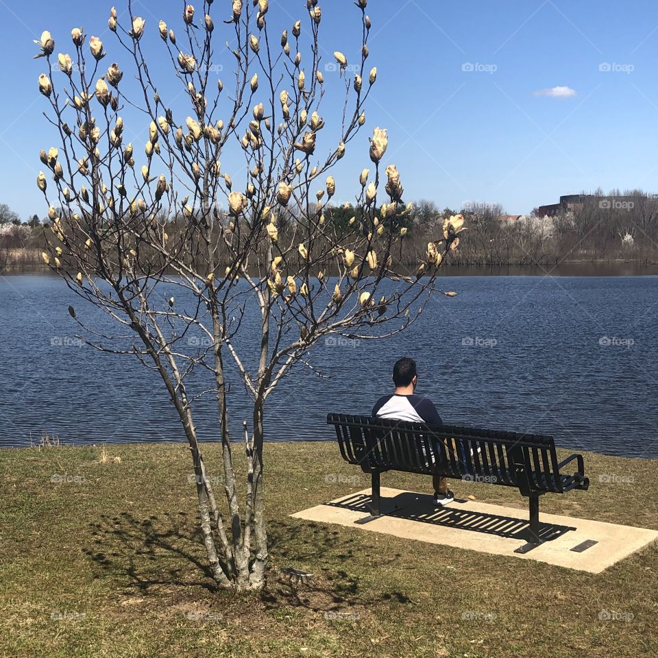 A love letter to Nature 