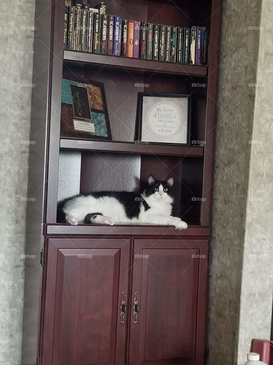 scar has become a statue on the bookshelf