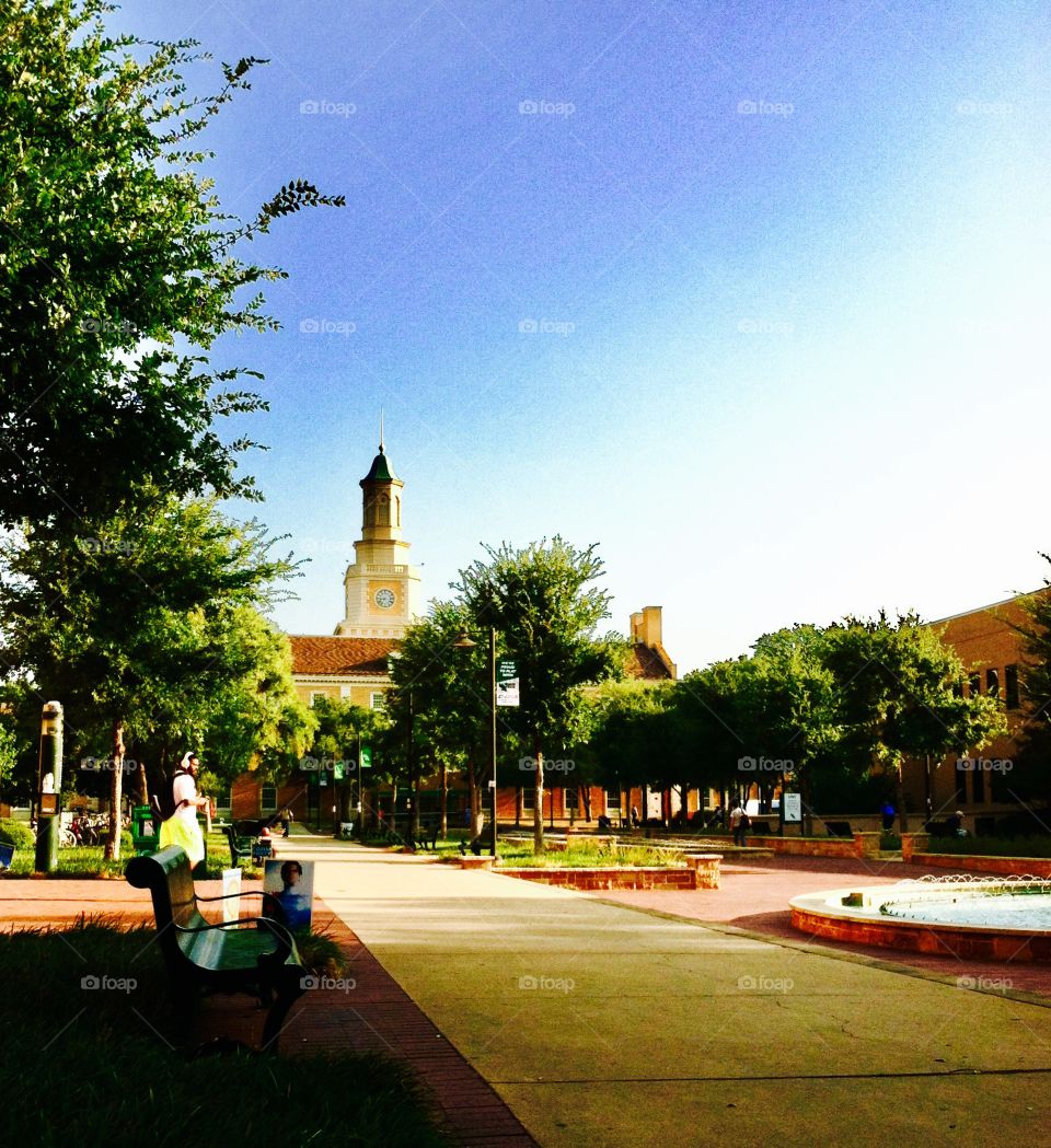 North Texas college 