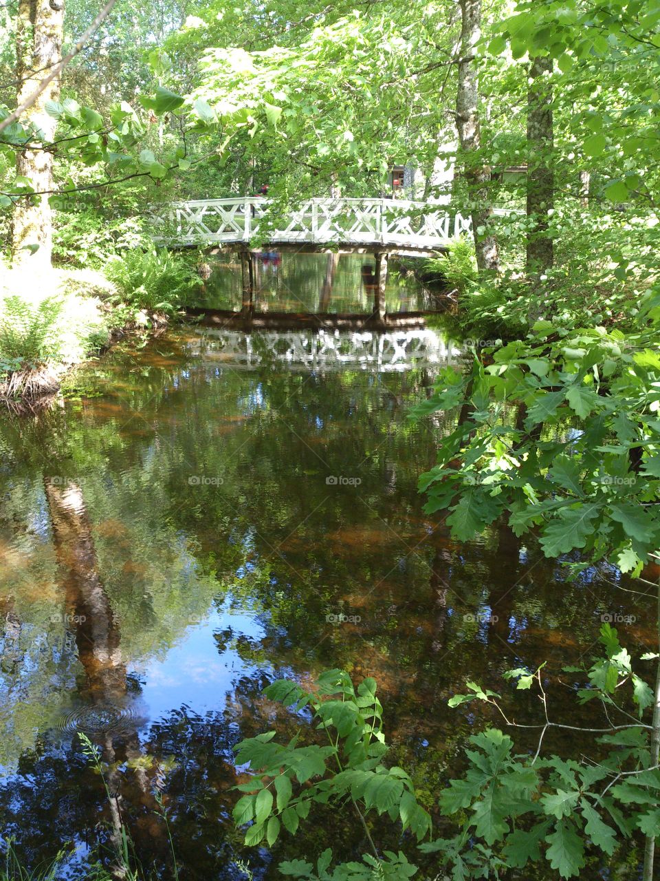 bridge .  white bridge in the summertime