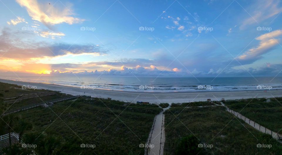 An image of a bird and a view of the beach