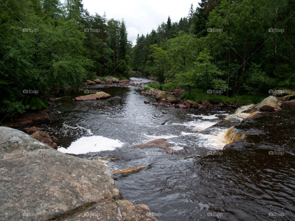småland sommar skog vatten by kalubro