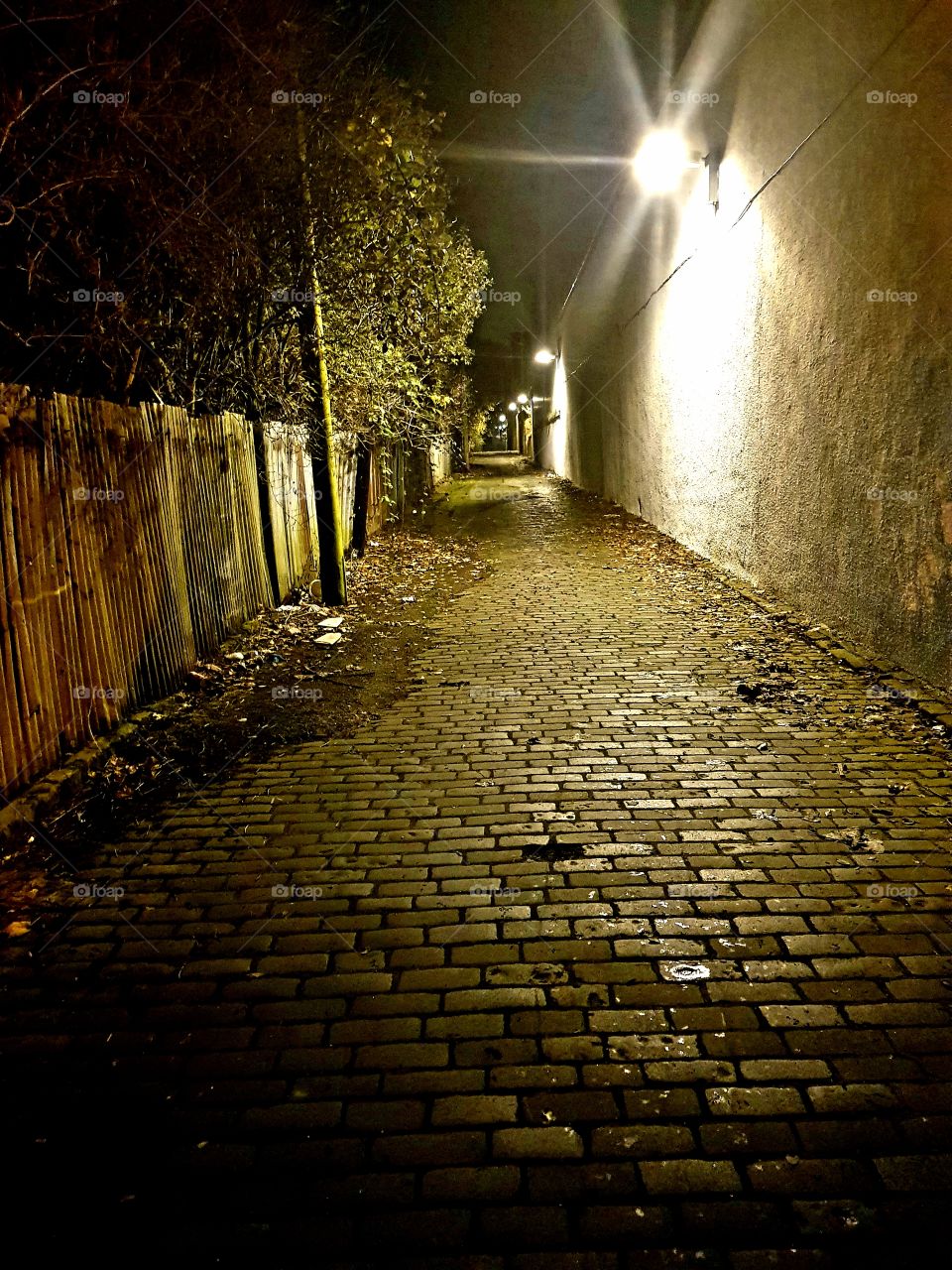 cobbled leafy all