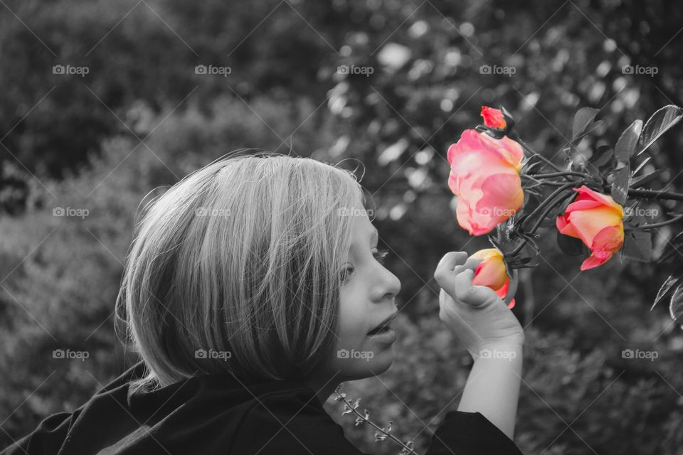 Smelling the Roses