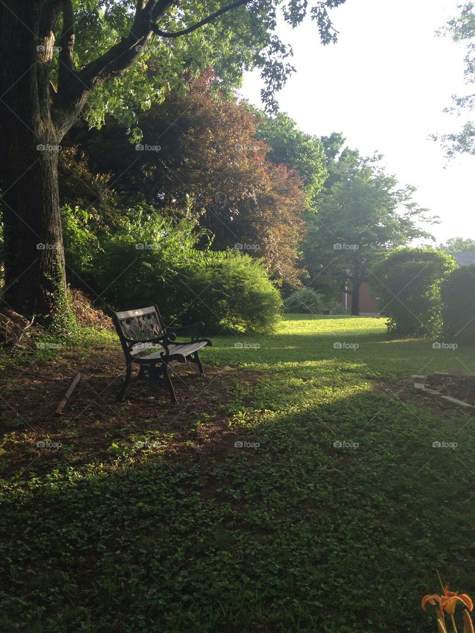 Sitting Area 