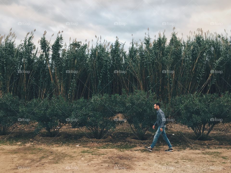 man walking among thickets