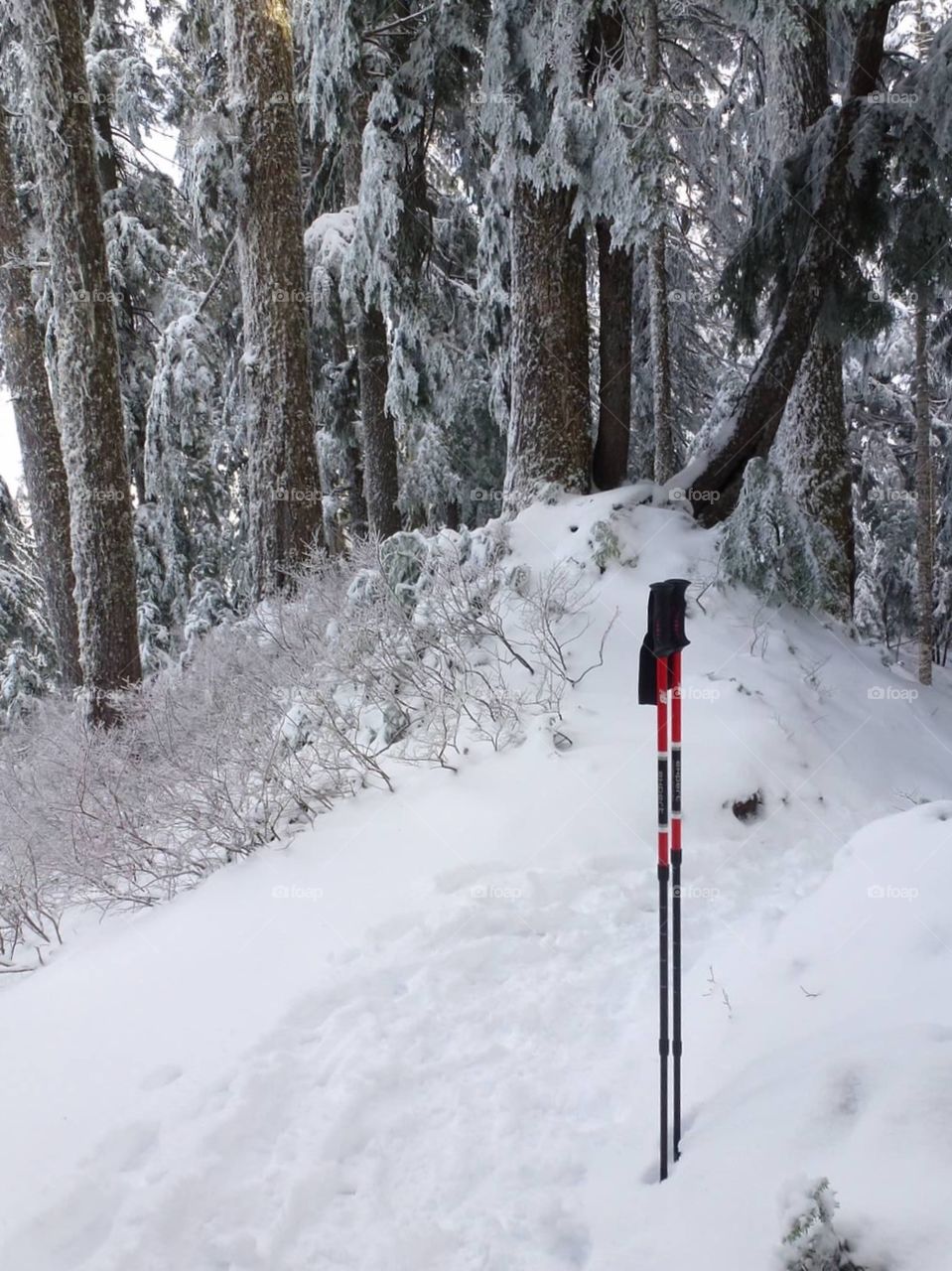 Snow hiking 