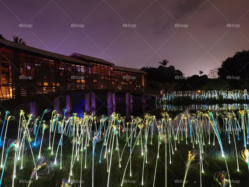 AMAZING LIGHT SHOW WITH WOODEN ARCHITECTURE.