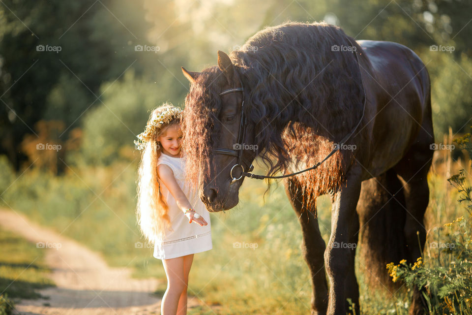 Little girl with black fresian stallion at summer evening 