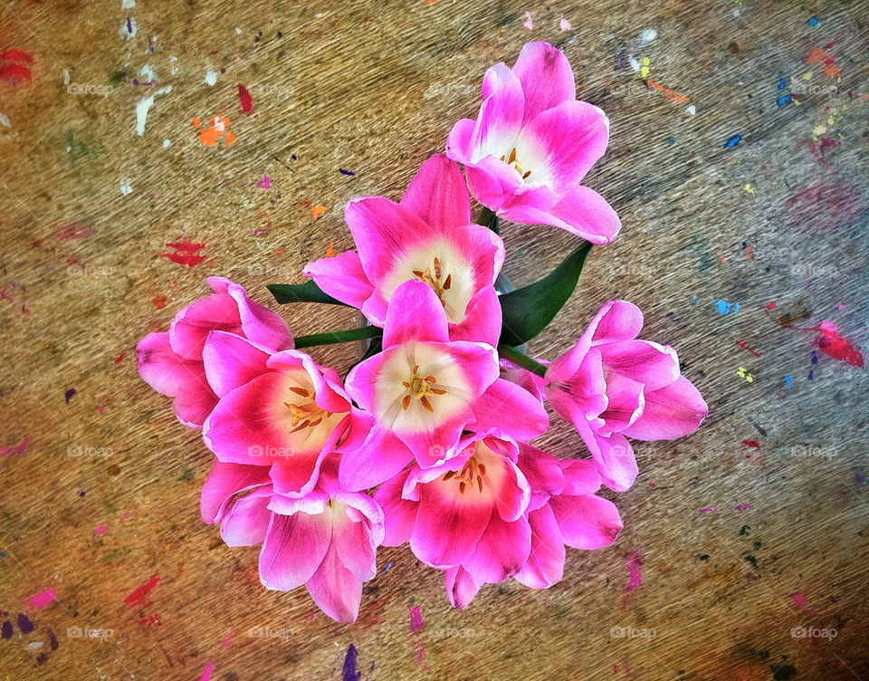 Bright pink spring tulip bouquet