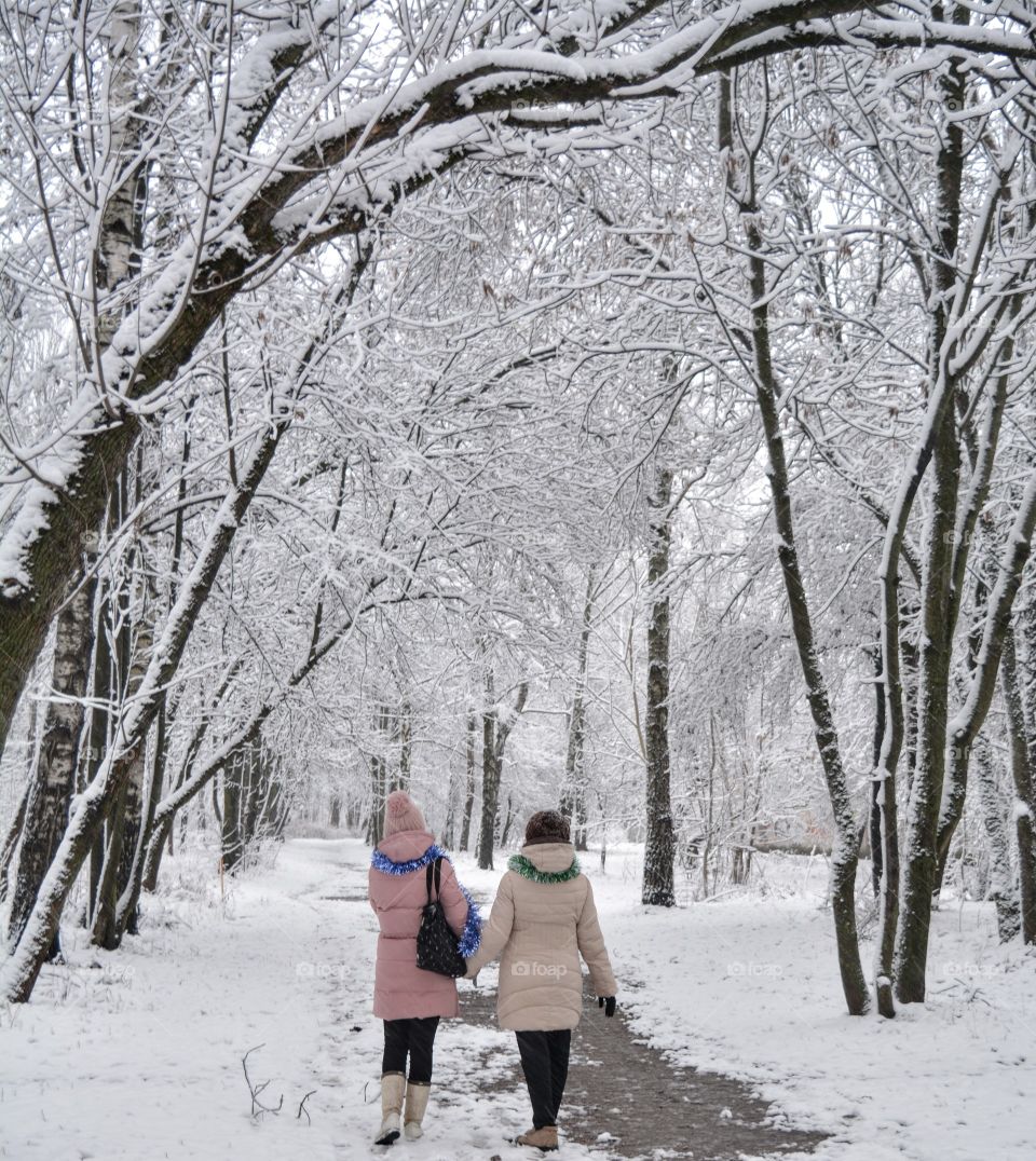 morning walking people in winter park