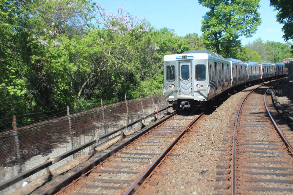Train arriving in wooded area