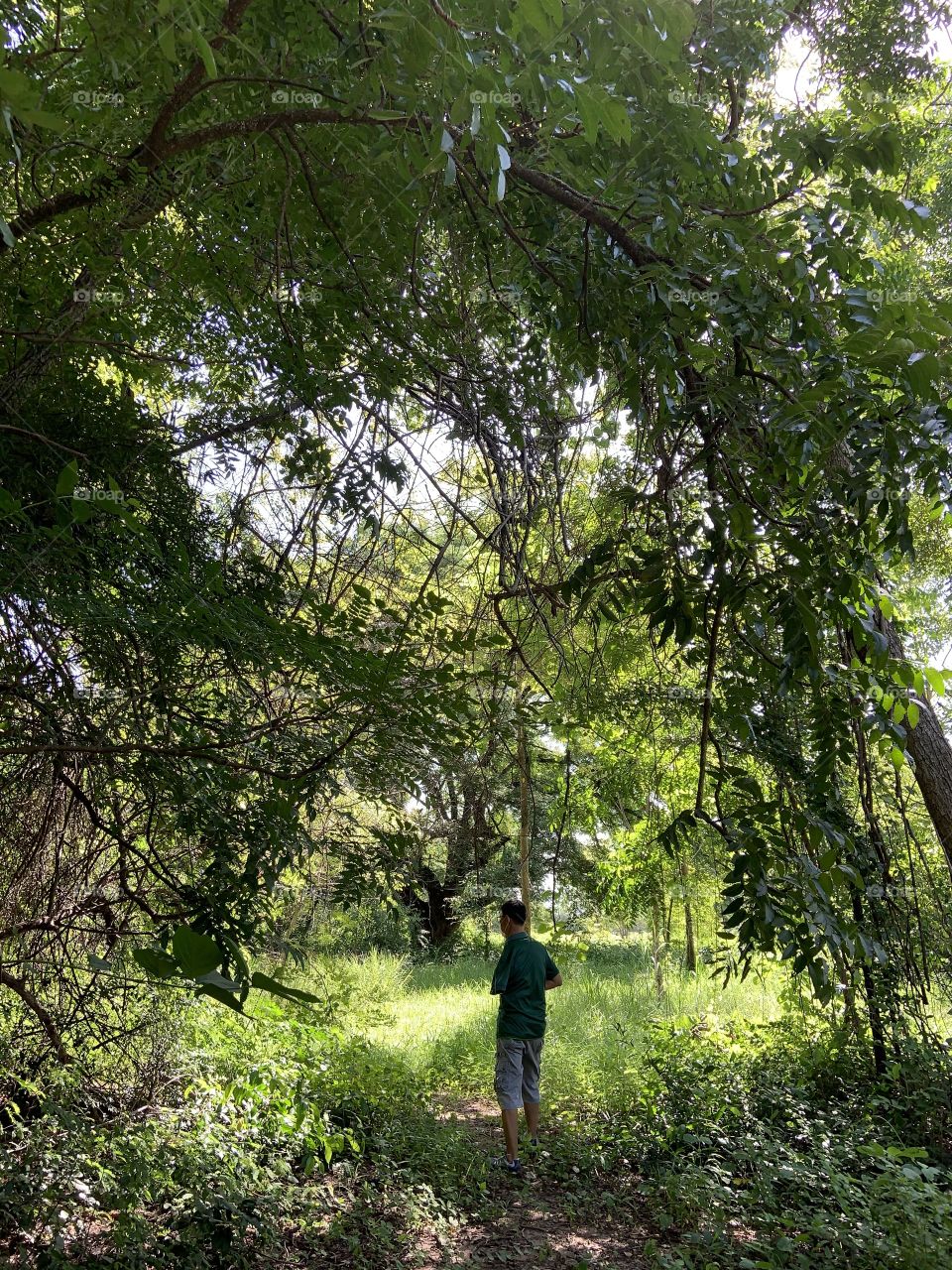 Good things come in my family, Countryside (Thailand)