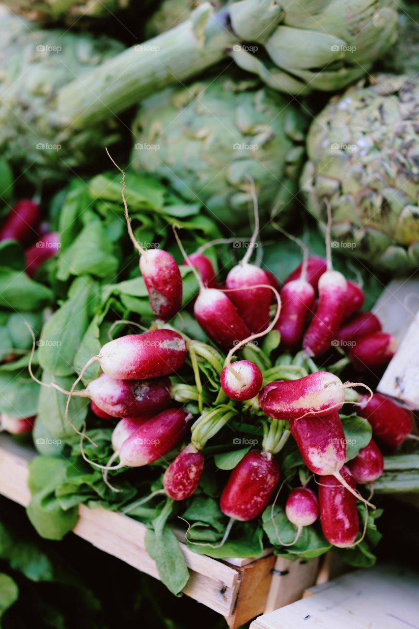 Radishes 