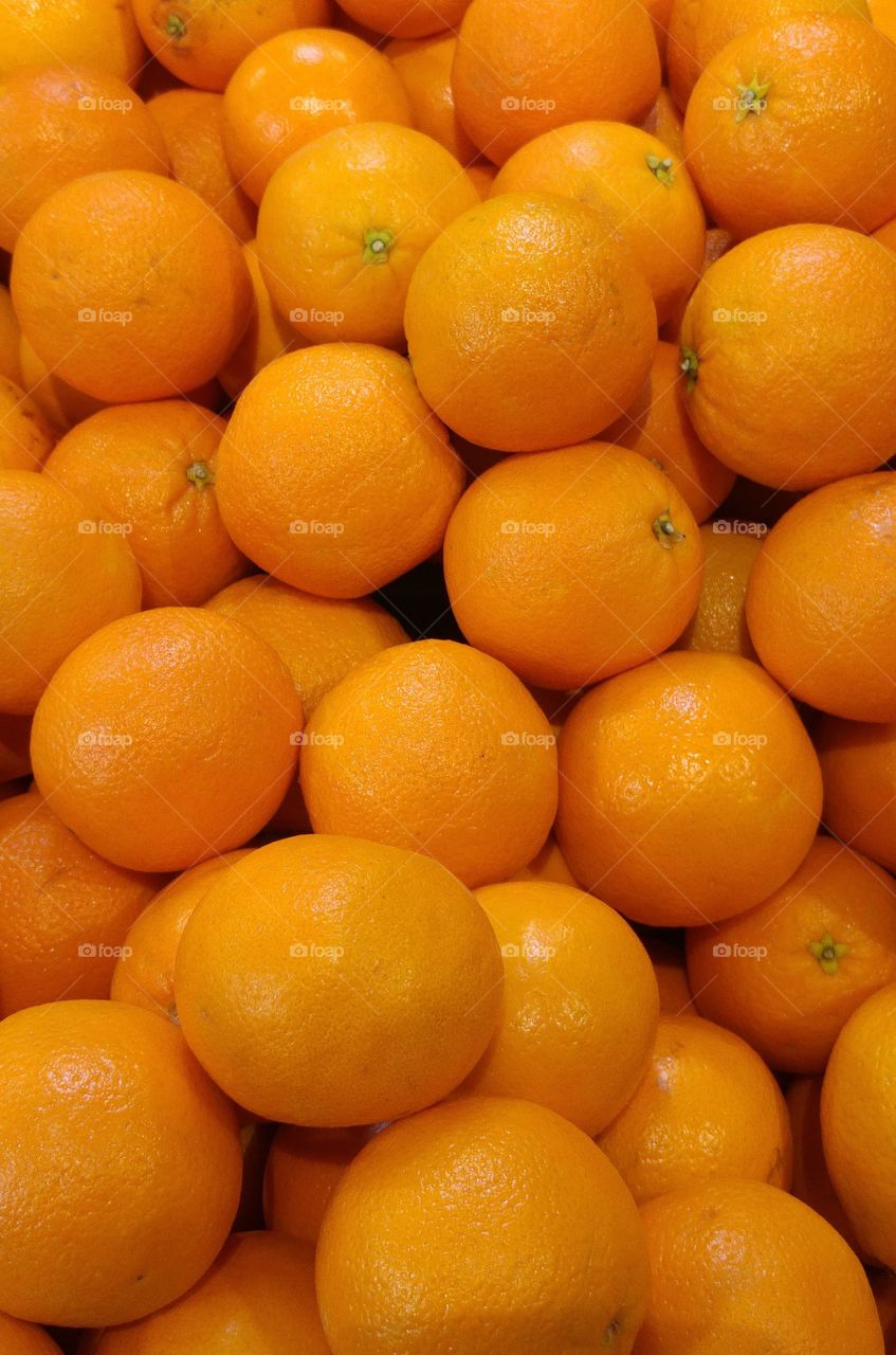 The circles that life has