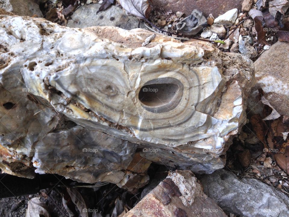 Close up of a rock. 