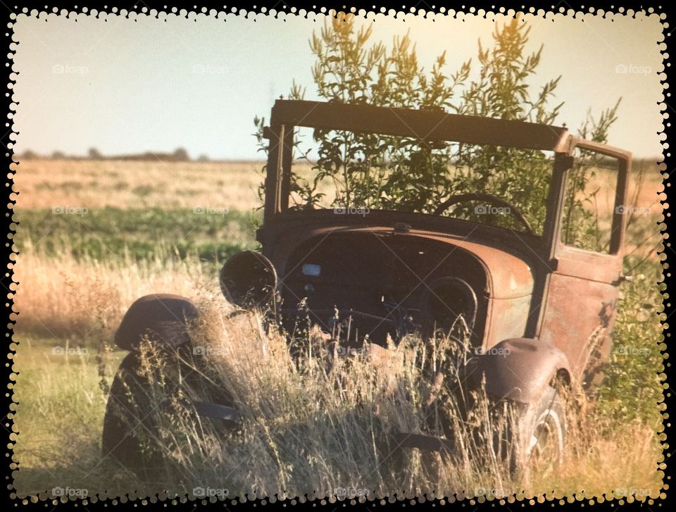 Old abandoned vehicle . Put out to pasture 