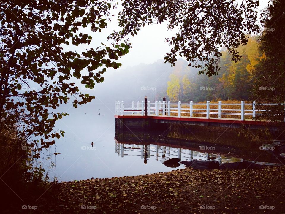 Misty  morning at Kallahti beach, in Helsinki Finland