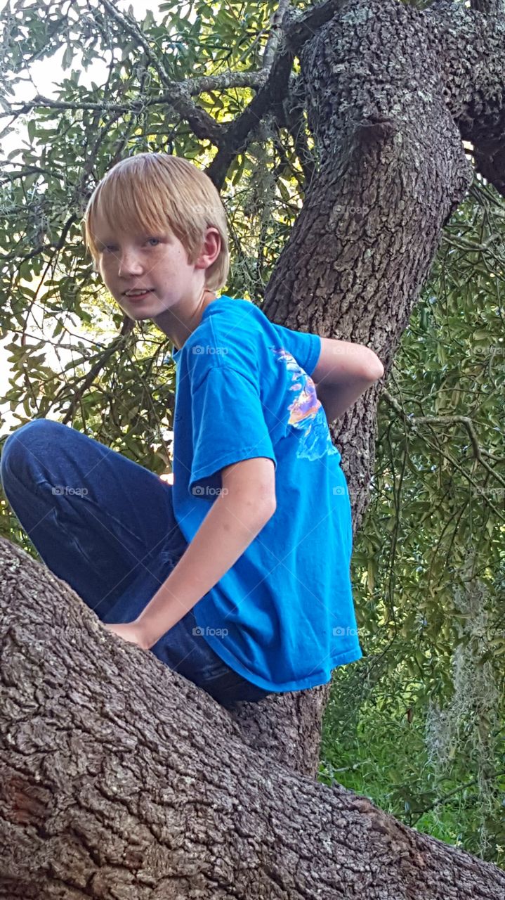 Boy sitting on the tree