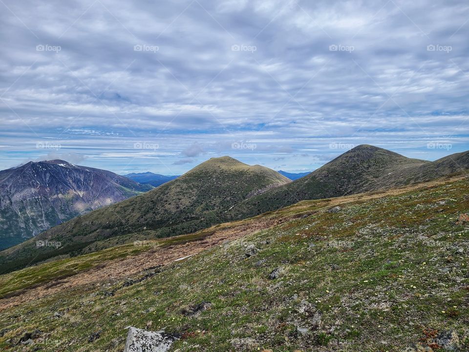 Mountaintops covered in Alpine shrubs