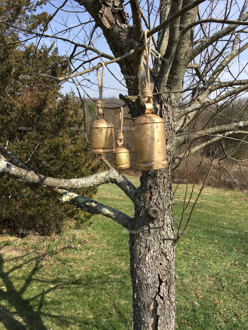 Love the sounds of these bells blowing in the wind 