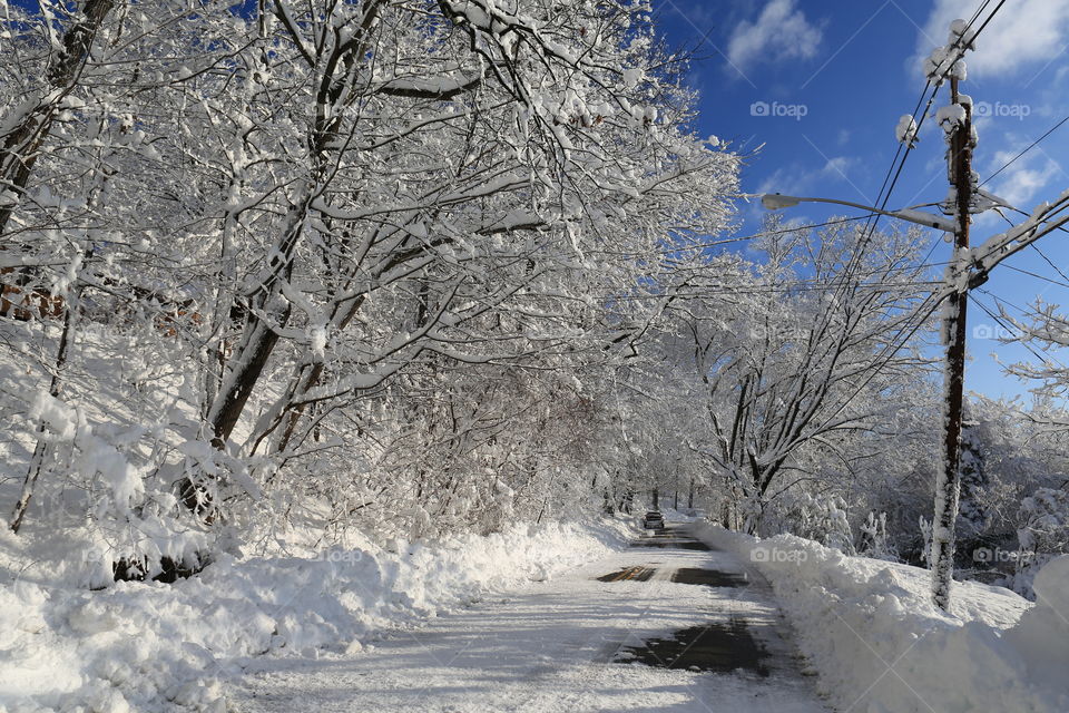 Snowy street 