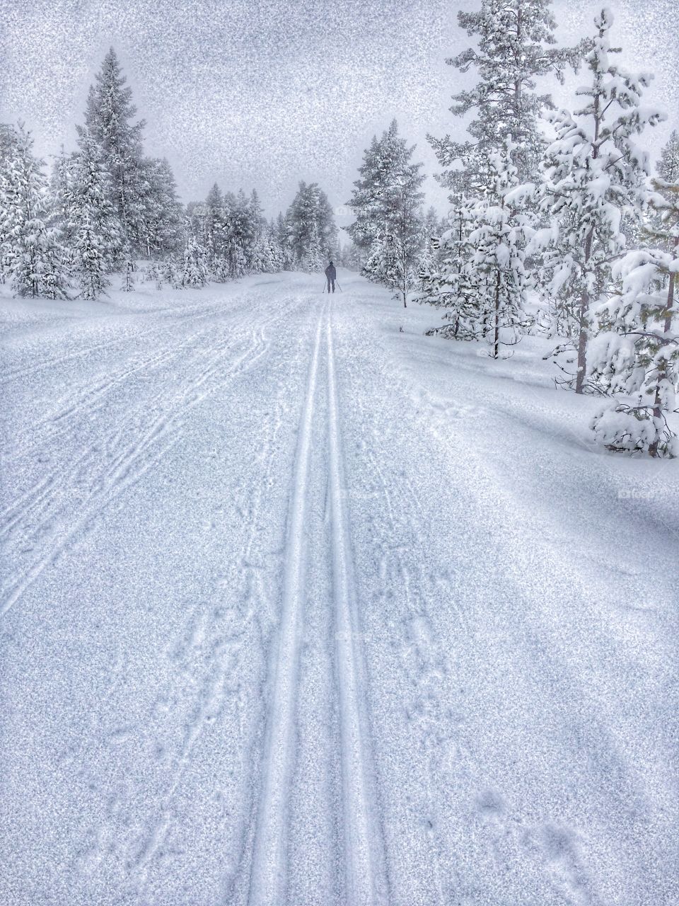 North of Sweden