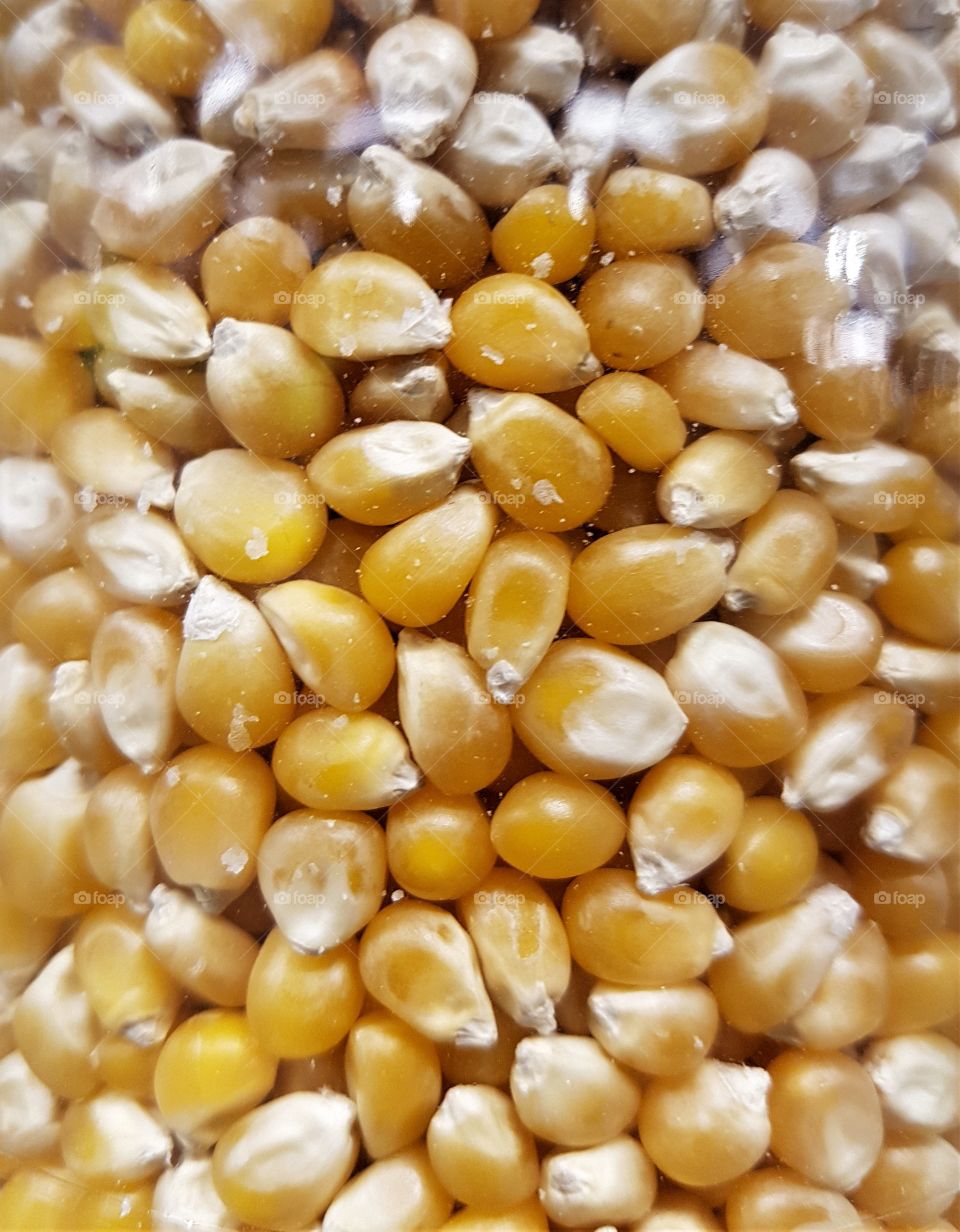 Corn