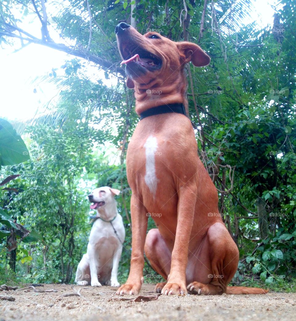 Relationships are not only for human beings...............