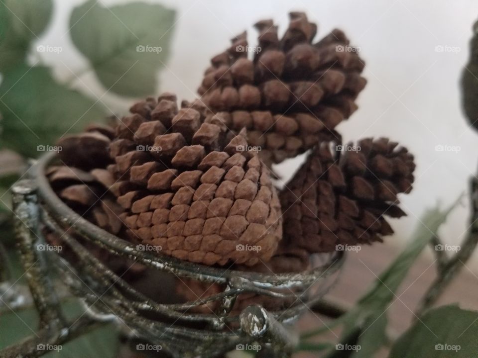 Tiny pine cones in a metal basket decoration, close up, nature