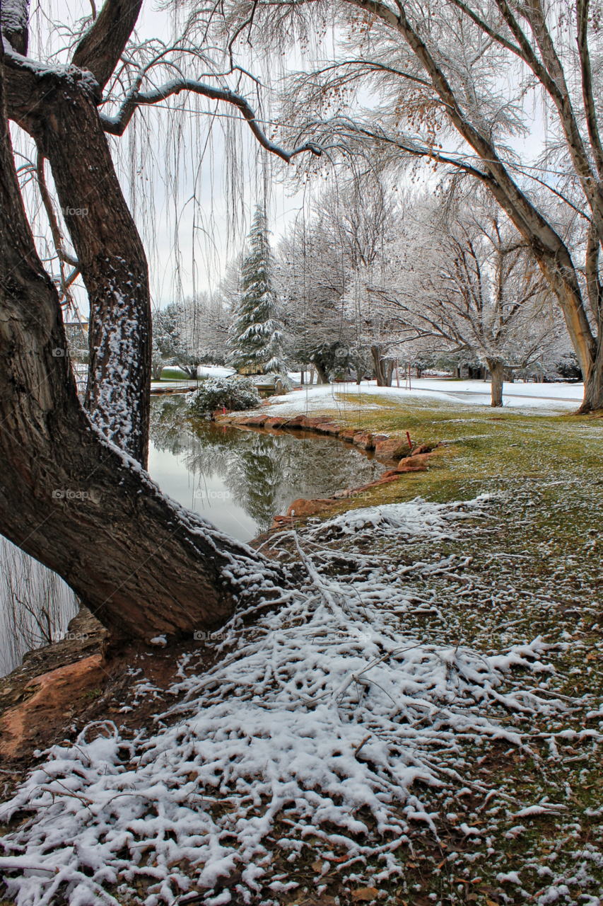 trees pond snow winter by stevehardley7