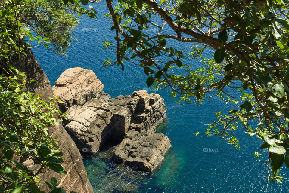 trees water sea rocks by vidu