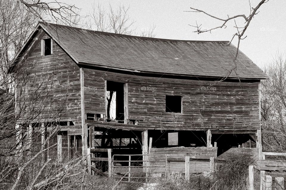 Weather beaten and sagging, this old barn is nearly back to being a pile of materials