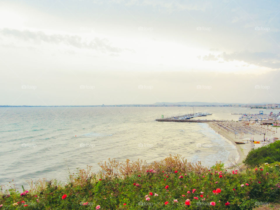 Seaside view