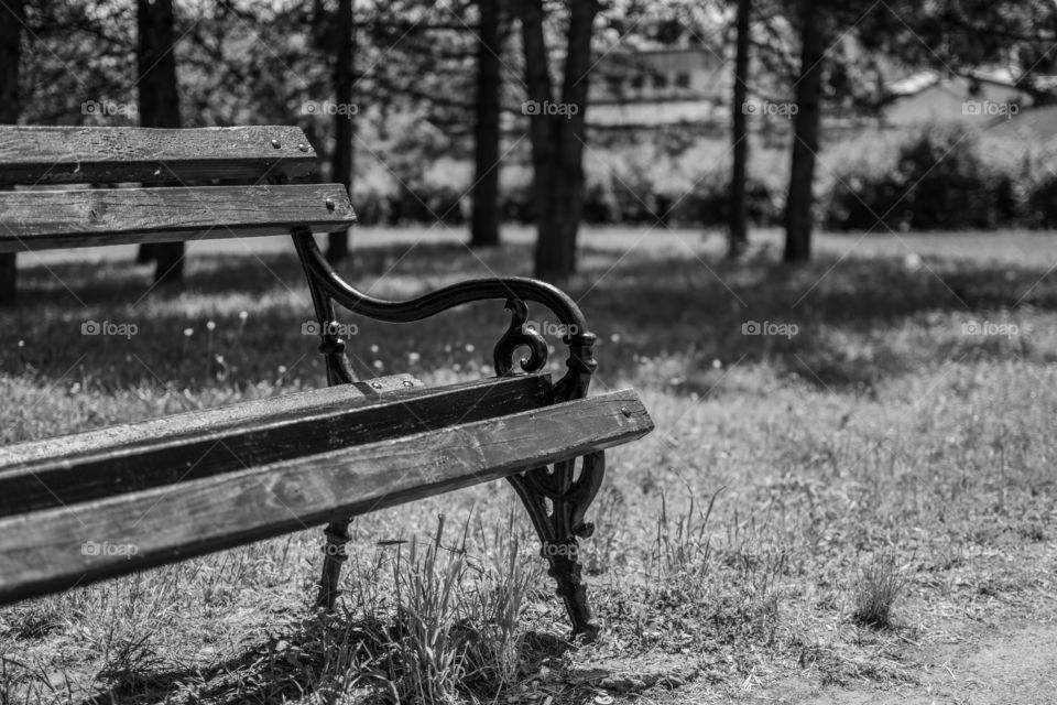 Iron wood park bench