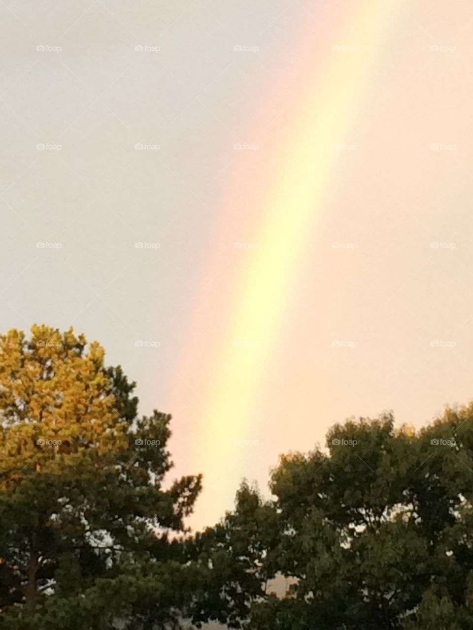 Rainbow. Sky summer rainbow