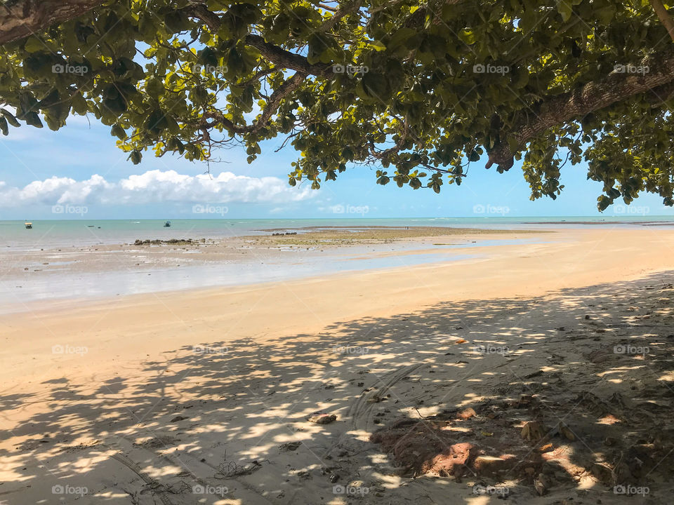 Linda praia de cumuruxatiba Bahia Brasil 🇧🇷