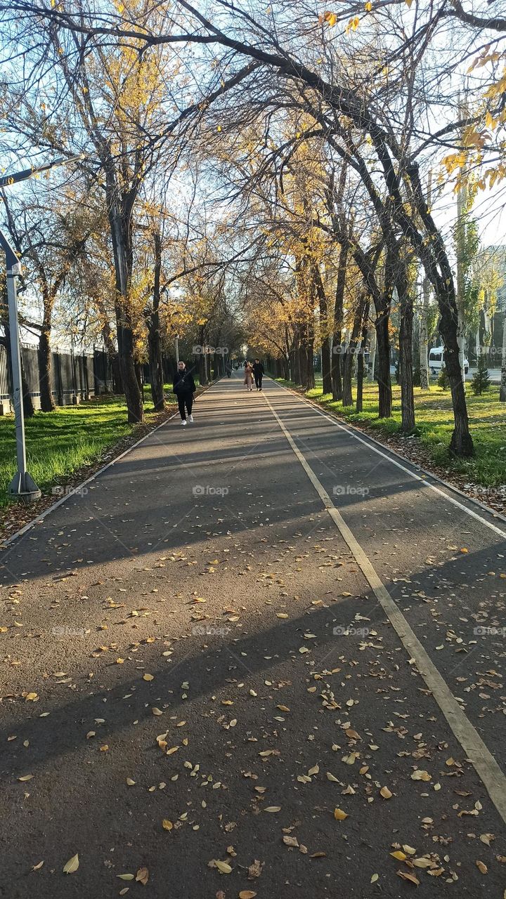 A day before a winter Last leaves, last worm