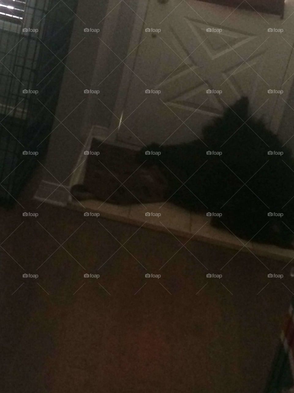 People, No Person, Window, Room, Light