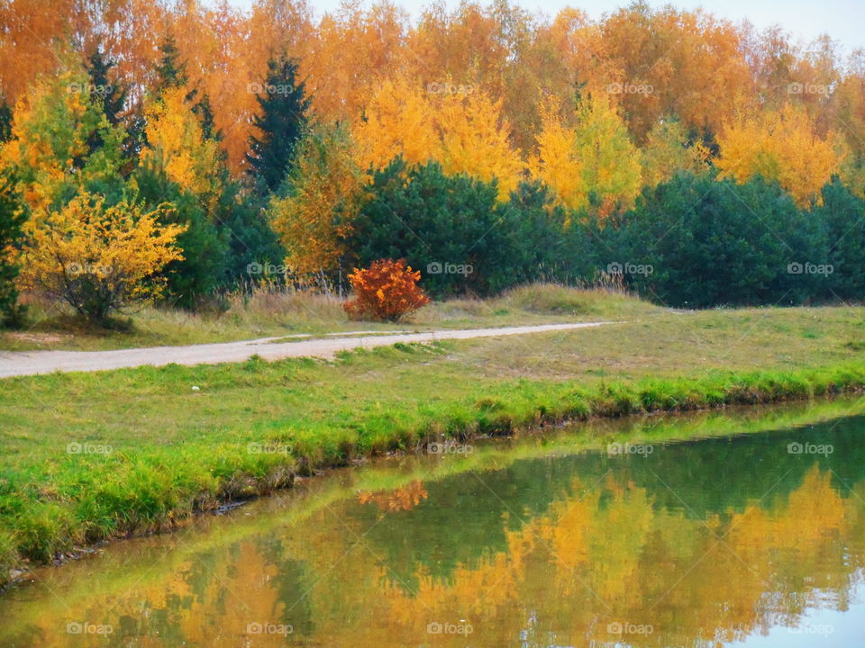 autumn lake