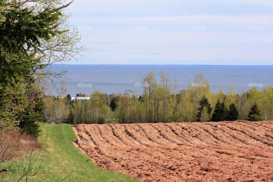 plowed field