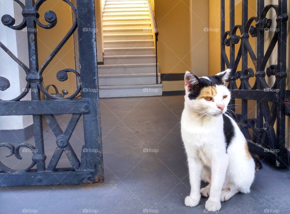 Saying hello to this beauty!