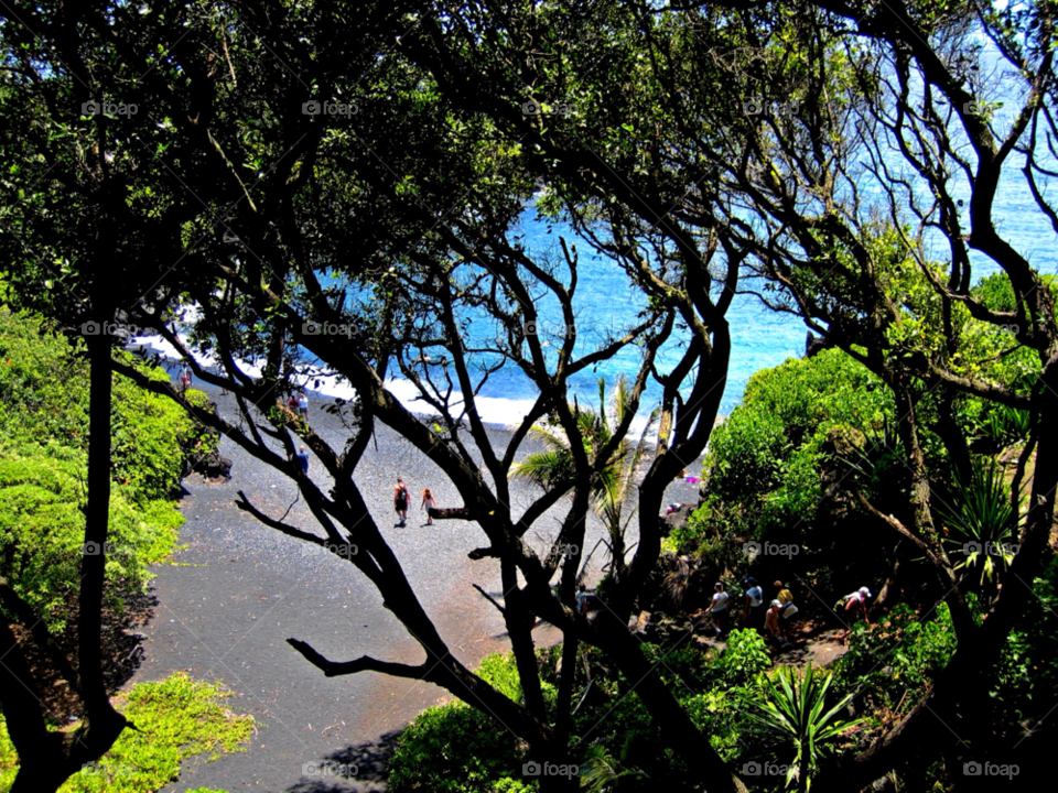 maui beach ocean green by stevehardley7