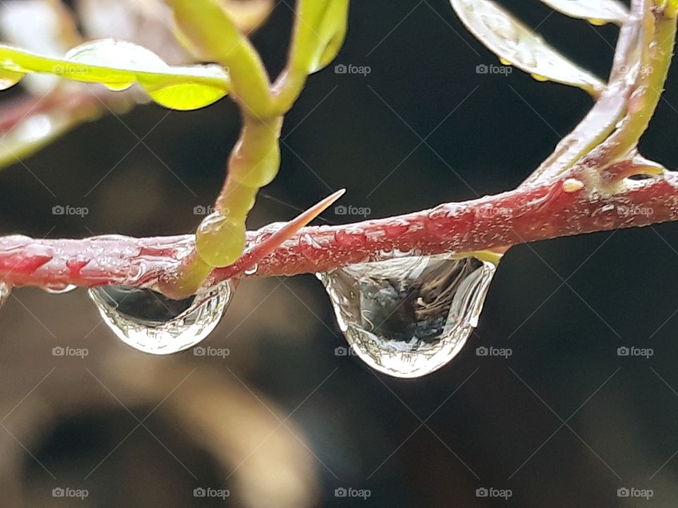 water drop