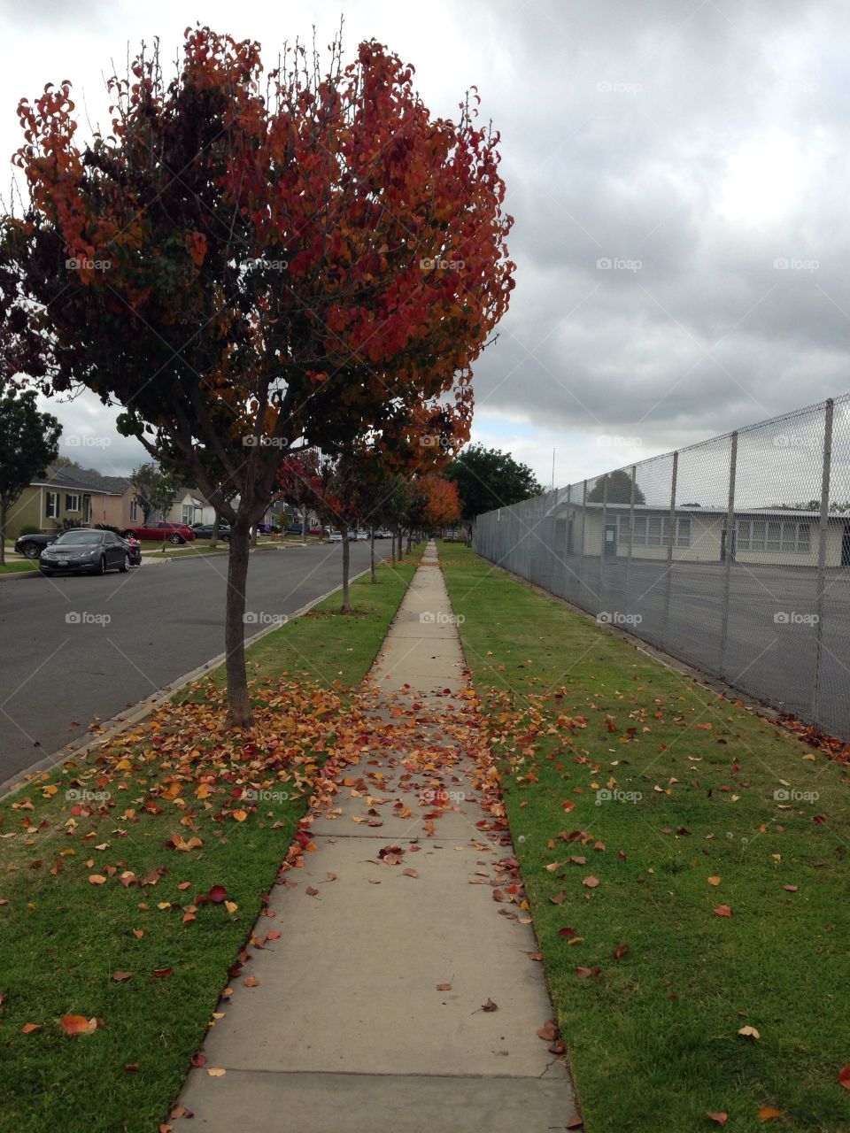 Fall

Published by:
HappyBrownMonkey